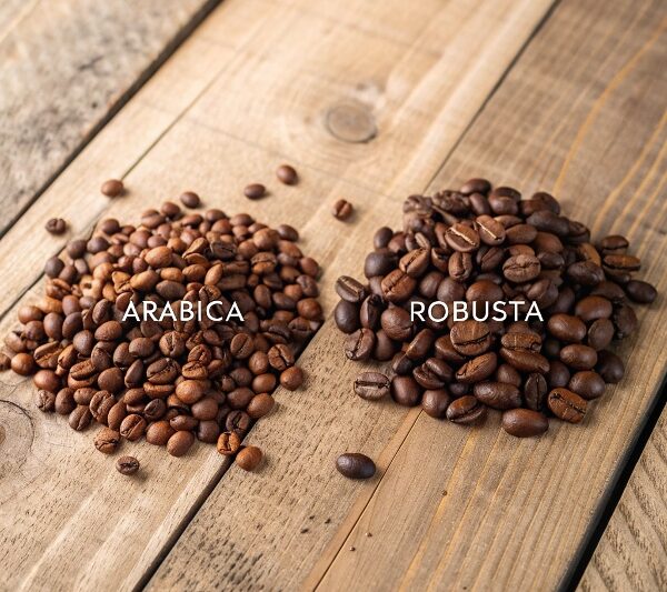 Arabica ve Robusta Kahve Çekirdekleri Arasındaki Farklar