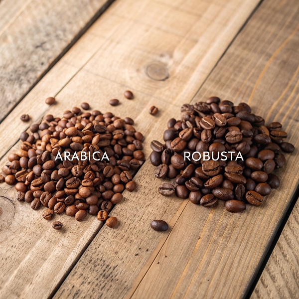 Arabica ve Robusta Kahve Çekirdekleri Arasındaki Farklar